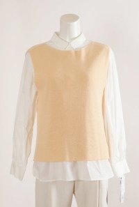 �A�C�e���C���[�W