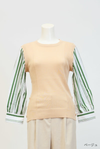 �A�C�e���C���[�W